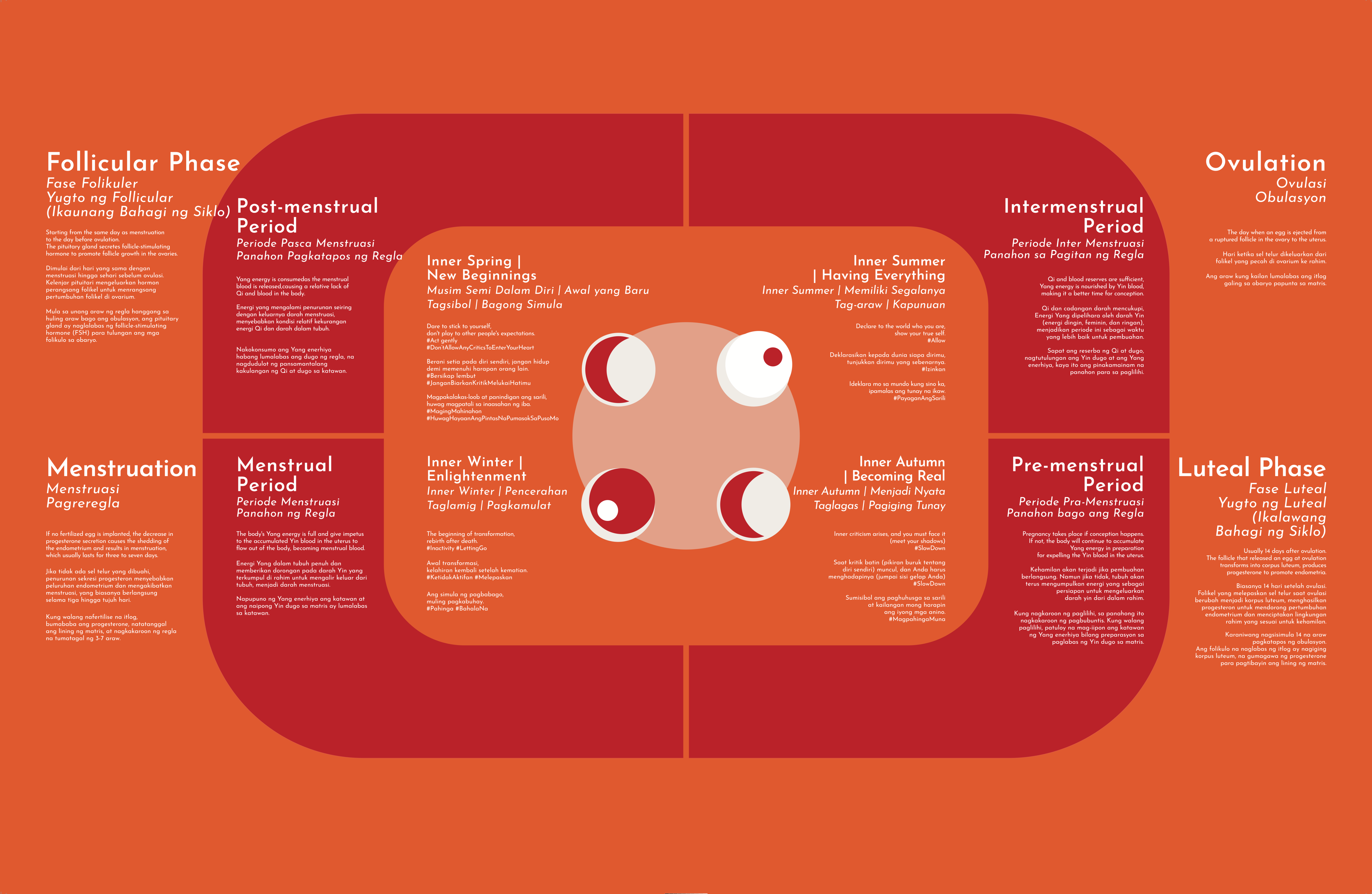 Menstruation Cycle